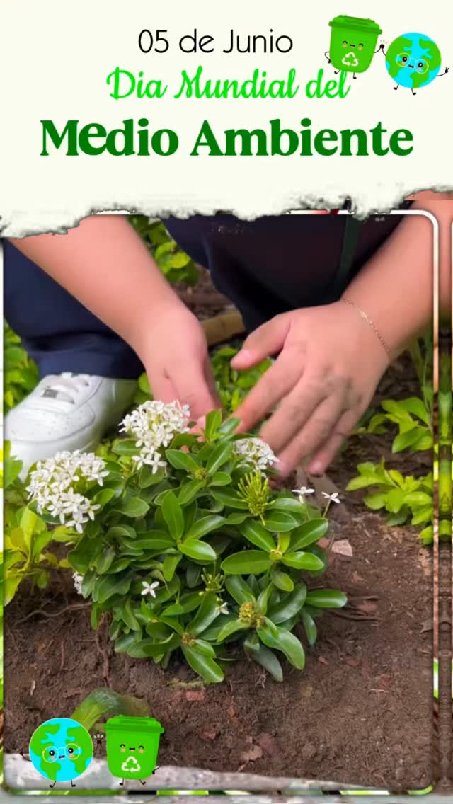 🌱 Día Mundial del Medio Ambiente 🌱
En esta fecha reafirmamos nuestro compromiso con la protección y conservación del entorno natural. La educación ambiental desempeña un papel fundamental en la formación de ciudadanos responsables y conscientes de la importancia de preservar los recursos de nuestro planeta.
A través de la siembra de plantas y árboles, nuestros estudiantes contribuyen activamente al cuidado del medio ambiente, demostrando que las pequeñas acciones pueden generar un impacto positivo y duradero.
#SomosDelfos #Delfosdecorazón #iluminamosmentestransformamos💚🧡