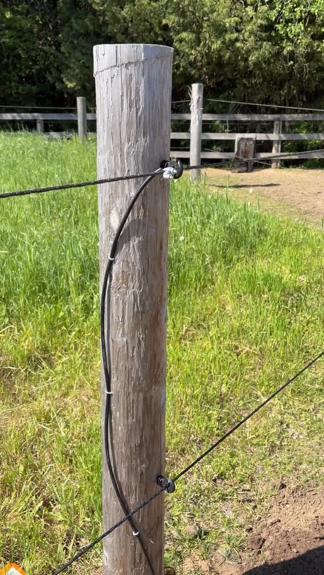 #TrackTipTuesday #TTT The grounding wire in an electric fence system is what allows the circuit to stay complete, especially when expanding or connecting different sections of a track. The fence carries the charge, while the grounding wire completes the system.
Proper grounding is what keeps the fence working safely and consistently, and it is buried to protect it from horses, weather, and wear.
Our online course From Paddock to Paradise covers everything you need to confidently build and maintain a track system for your horses, ponies, or donkeys
From Paddock To Paradise | https://share.google/cEPySQXwzFxSfIIFr
#onlinecourse #horsewellness #tracksystem