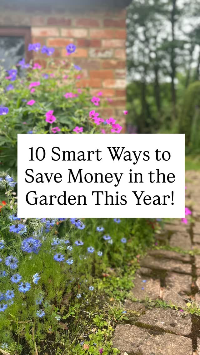 You don’t need a massive budget to cultivate a gorgeous, thriving garden. With a little resourcefulness, you can slash your gardening costs to nearly zero. Here are 10 clever, budget-friendly ways to keep your garden green and your wallet full:
1 Make your own compost: Turn kitchen scraps, coffee grounds, grass cuttings and wood ash into nutrient-rich “black gold”.
2 Save as much water as you can: Set up rain barrels, reuse household greywater (like pasta cooling water), and water in the evening to reduce evaporation.
3 Improvise with tools: Skip the pricey garden gadgets. Use a kitchen fork to loosen soil, an old butter knife for weeding tight spaces, and bamboo skewers to prop up heavy seedlings.
4 Make your own plants: Master the art of propagation! Split overgrown perennials, sow saved seeds, and grow new plants from cuttings.
5 Reuse compost: Don’t throw away last year’s potting soil. Refresh it by mixing in a bit of fresh organic matter or homemade compost.
6 Seed & plant swap: Join a local seed swap or trade extra seeds and plant divisions with friends for free variety.
7 Upcycle rubbish: Turn egg cartons, yogurt cups, and plastic berry containers into mini greenhouses and seed starting trays.
8 Regrow kitchen scraps: Don’t toss those sprouting potatoes, celery bases, or garlic cloves, plant them back into the ground for an endless supply.
9 Use cardboard for weed barrier: Skip the expensive landscape fabric. Lay down plain, wet cardboard and cover it with free woodchips to smother weeds naturally.
10 Grow vertically with DIY trellises: Instead of buying expensive metal structures, use fallen tree branches, or canes & twine to support climbing plants.
Nature is incredibly generous if you let it do the work. What’s your favorite DIY garden hack? Drop it in the comments below! 👇
#moneytips #gardeninspo #gardenhacks #gardentips #savemoney