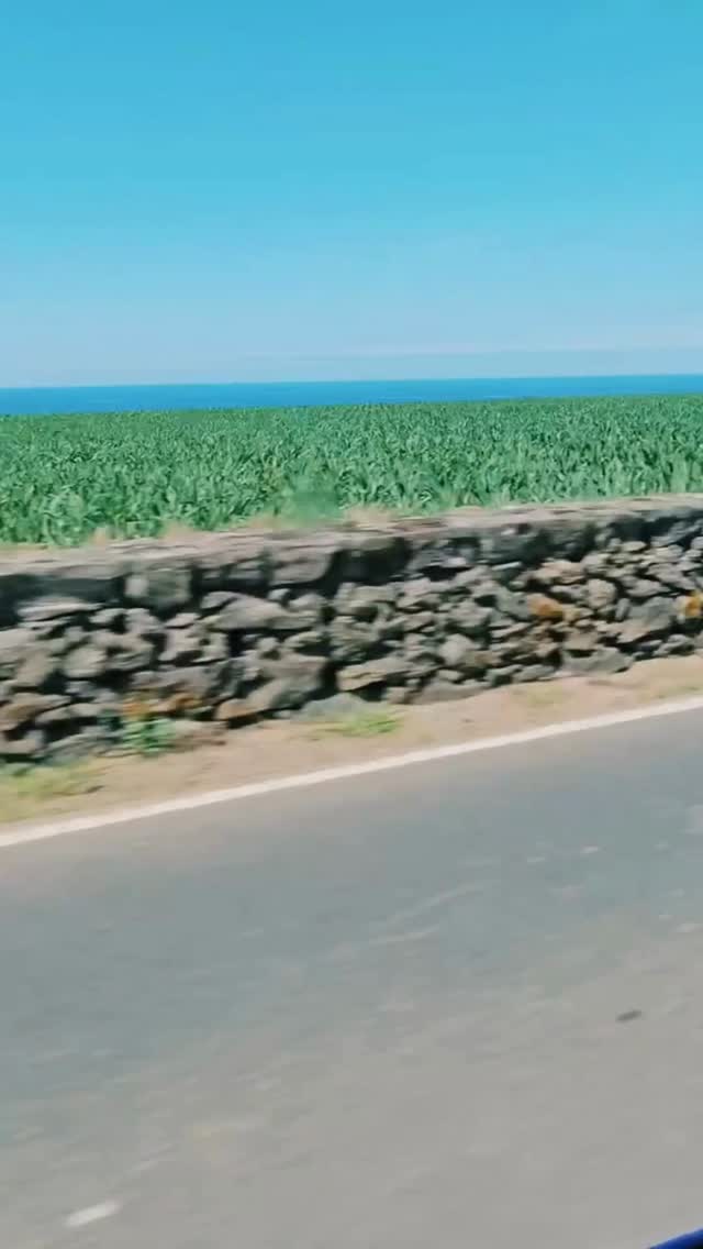 No matter where you’re driving on the island…
the views are always incredible. 🇵🇹🌿
Ocean roads, small towns, and beauty around every corner.
Thank you yo Beautiful Island - Rent-A-Car & Services!
