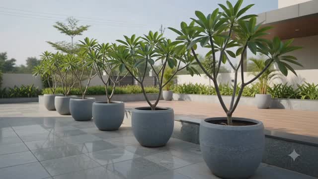Explore the pots collection in our outlet...
Collection of Plastic pots, Rubber mould fibre pots, Environment friendly pots, Ceramic pots, Mini metal pots, Large sized pots for Terrace etc,,.
#balconypots s #potsnurserycpimbatore #plantsnurseriesincoimbatore #indoorpots #putdoorpots