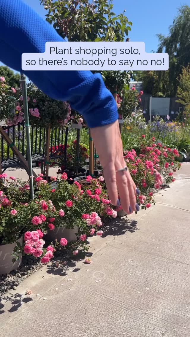 This is your sign to get over here and do some solo plant shopping! Why limit yourself? We are here to help!