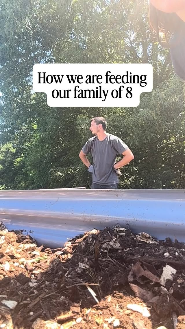 We added 10 new garden beds this last week cause friends food security is this #homestead #country #farm