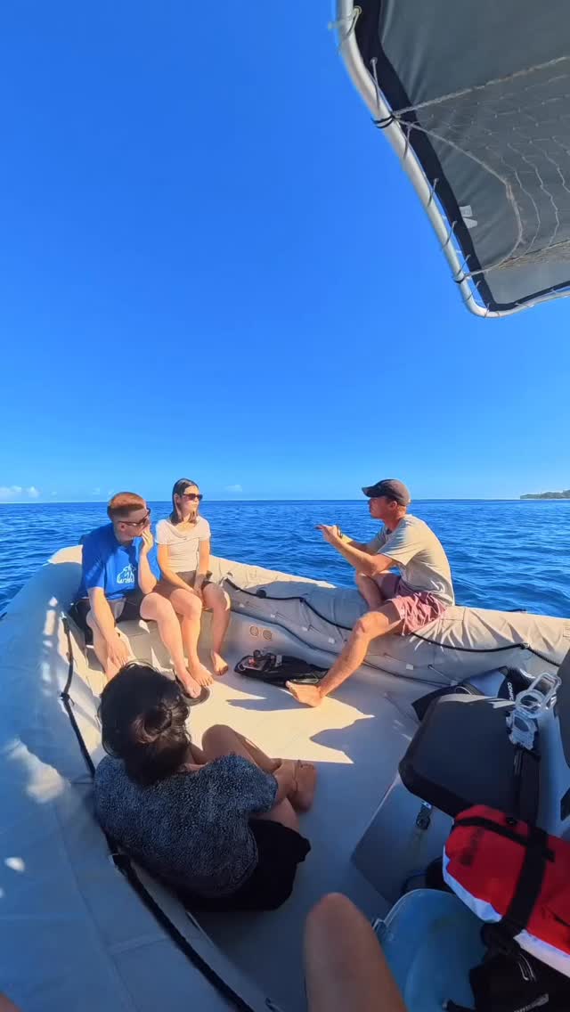⚠Sortie cétacés exceptionnelle !
Nous avons eu la chance dâobserver des dauphins Ă 4 reprises au cours de notre sortie snorkeling đŹ
Des rencontres magiques, dans le respect des animaux et de leur environnement, qui nous rappellent Ă quel point lâocĂ©an est prĂ©cieux.
Merci Ă tous les participants pour ce moment inoubliable. đ
#LaReunion #Dauphins #Cetaces #Snorkeling #OceanLovers WildlifeEncounter