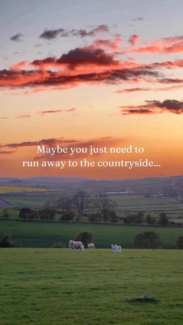 There’s nothing quite like the English countryside… 🍃🌸🌾
North Yorkshire is full of charming towns and hidden villages. With quiet country lanes, secluded waterfalls, and wildflower meadows waiting to be explored 😍
Featured locations 👇
📍Byland Abbey
📍Osmotherley
📍Helmsley
📍Great Ayton
📍Pickering
📍Falling Foss
📍Stokesley
#VisitNorthYorkshire #Countryside #LifeInthecountryside #EnglishCountryside