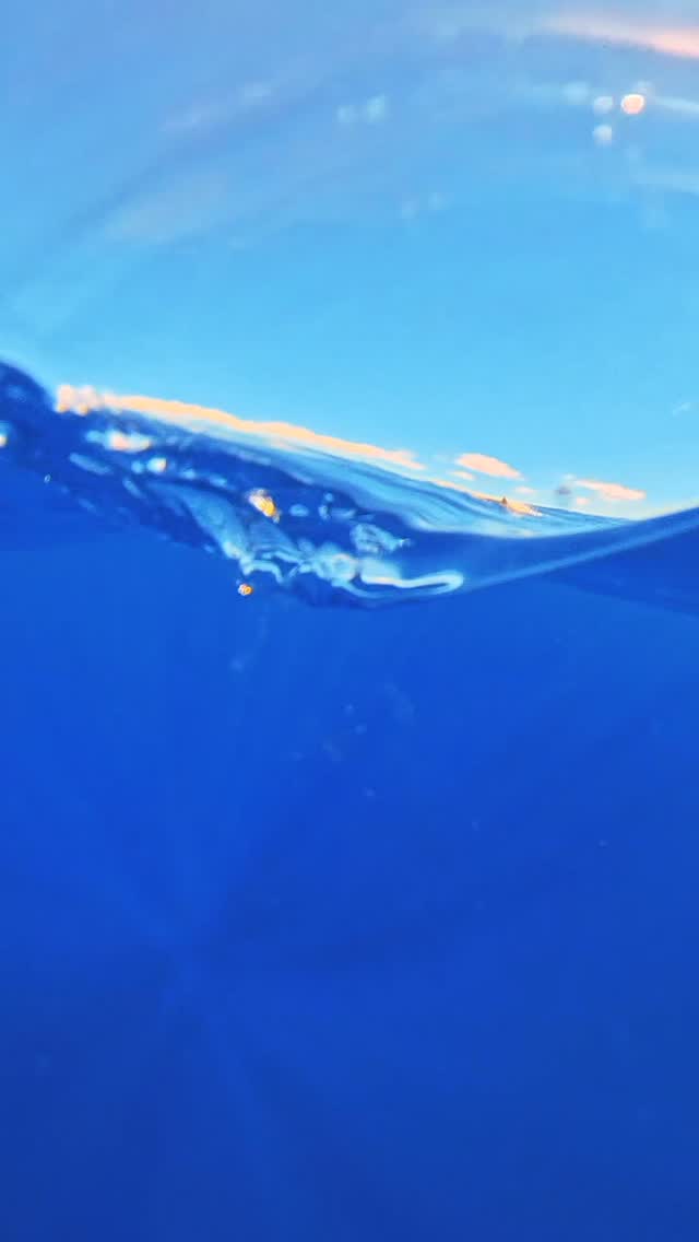 Aujourdâhui, la nature nous a offert un spectacle inoubliable : une magnifique rencontre avec des groupes de dauphins (long bec et aduncus).
Observer ces animaux fascinants dans le respect de leur espace est toujours un privilÚge et un moment riche en émotions.
Merci Ă nos plongeurs pour leur attitude responsable qui permet de prĂ©server ces instants exceptionnels. đđ
Qui aimerait vivre une expĂ©rience comme celle-ci ? đ
Rendez vous sur notre site internet : www.reuniondiving.com
0692 74 45 07