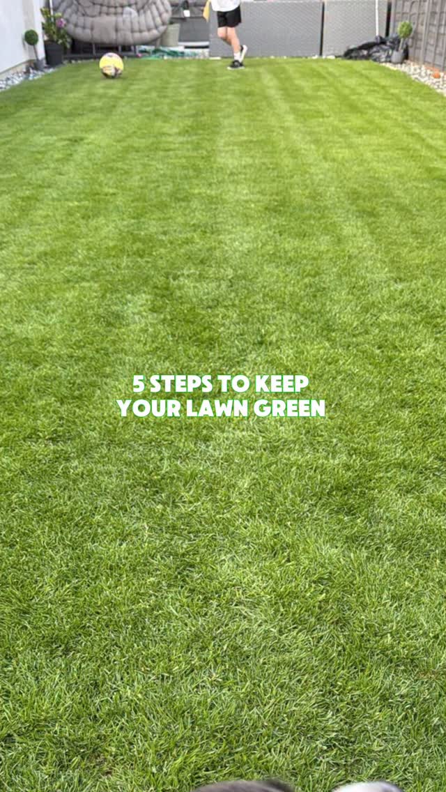 5 steps to a green lush lawn during summer 🌱
water regularly if no rain is due 💦
apply feed regularly, a liquid fertiliser is great during the warmer weather to help with disease and stress
aerate your lawn to help with oxygen
keep your mower blades sharp
and remember to edge for the finishing touch
Keep the lawn green all summer long ☀️
#grass #greengrass #lawncare #lawn #gardening
