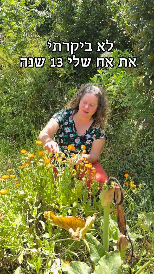 בין הפר