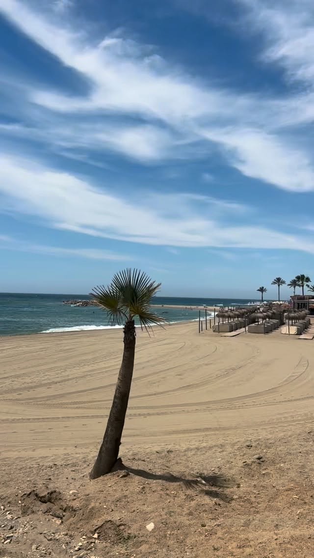 Send it to your friend who needs to come to #Marbella this summer☀️ which of the places I featured is your favorite? 💋
#marbellalife #marbellasummer #marbellaspain #sommerlife