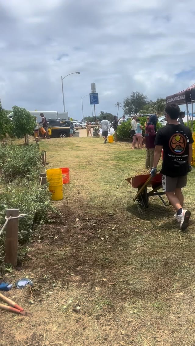 Today we headed over to the Wāwāmalu (Sandy Beach) Cleanup and Restoration. I brought the boys down to Sandy Beach so they could give back to the beach that gives us so much.🩵🩵🩵
Huge mahalo to the @honolulu_water_polo and Punahou Water Polo @punahou_athletics who showed up ready to work. These are the young men who’ll be looking out for the next generation. 🙌🏽⭐️
When we mālama our beaches, we’re not clearing our weeds and just picking up trash. We’re teaching our younger generations that the ocean is something we protect, respect, love and understand. And understanding the ocean is such an important layer of water safety. 🙏🏽🩵🌊
Mahalo @sandybeachreport for always connecting so many good people together. Boys forgot to get pic with you Tyler! Also mahalo to @parley, @sustainablecoastlineshawaii and @kekoacazimero + @avva for the aloha and organizing this event. This is what community looks like! 🫱🏽🫲🏼🫶🏽🤙🏽
#WaterSafetyHawaii #Malama #SandyBeach #Oahu #HawaiiNonprofit