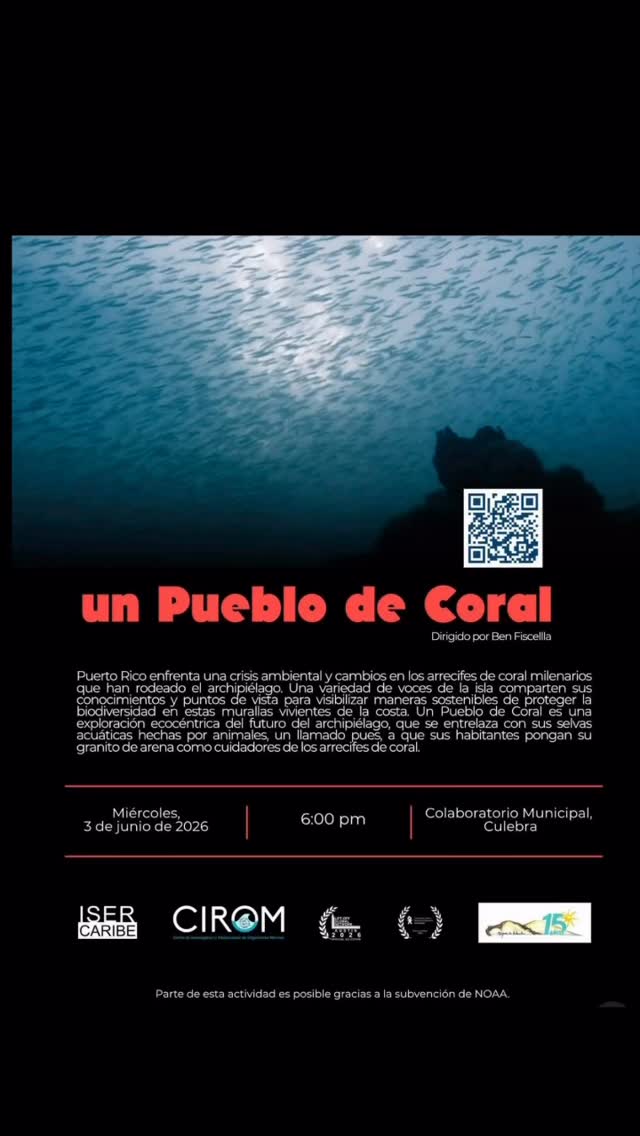 Esta semana de los Arrecifes de Coral, @isercaribe nos invitó a un evento en la isla municipio de Culebra. Junto a @mujeresdeislaspr, @recursosnaturalespr, @sociedad_ambiente_marino y @cirom_pr, compartimos con la comunidad sobre los esfuerzos de restauración marina. Fue un muy buen evento para conectar con la comunidad y colegas que trabajan día a día por hacer de nuestros arrecifes unos más sanos ❤️
¡Gracias por todo lo que hacen y por la invitación!
@coral.puertorico gracias por esta semana llena de eventos. Mañana estaremos en el Parque de las Ciencias en el cierre de la Semana de los Arrecifes de Coral. Si no han visto el documental de ISER Caribe, vayan, está increíble y podrán ver a nuestro equipo en acción colaborando con esta iniciativa 🌊