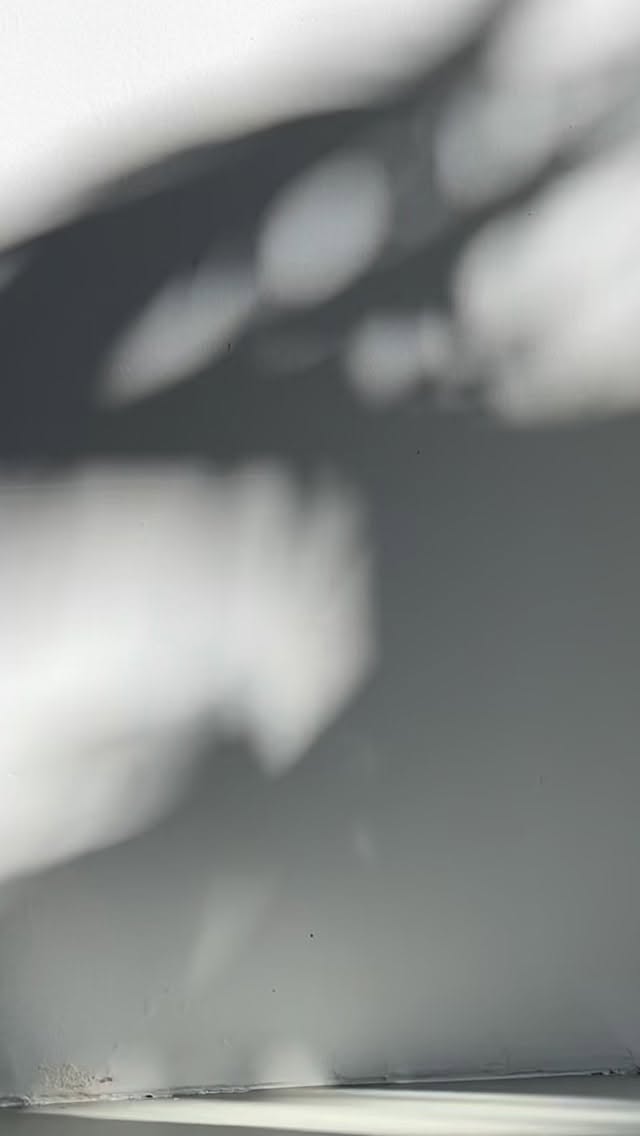 Sommerlicht am Morgen im Studio.
Hier wird es still in dir.
Ton zwischen den Händen. Ein Atemzug tiefer. Ein sanftes Loslassen. Und plötzlich bleibt nur dieses gute Gefühl, ganz im Moment zu sein.
Fühlen. Atmen. Ankommen.
C L • A Y | Hamburg-Ottensen
ZEN·trier Dich – Töpferworkshops, Drehscheiben-Vermietung & Shop
cl-ay.de
•
Summer morning light in the studio
This is where the noise fades.
Clay between your hands. A deeper breath. A gentle letting go. And suddenly, all that remains is the feeling of being fully present in the moment.
Feel. Breathe. Arrive.
C L • A Y | Hamburg-Ottensen
ZEN·ter yourself – Pottery workshops, pottery wheel rentals & shop
#töpfern
#achtsamkeit
#drehscheibenkurs
#breathwork