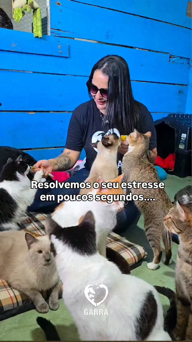 Adote um Garrinho 🐈🐕 e acabe com o seu estresse!
Nós podemos te ajudar! ❤️
Para adotar um Garrinho, preencha o link na bio.
#adoteumgarrinho #adoteumviralata #srd #garrinhos #onggarra