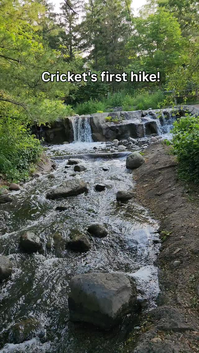 Thank you @perronasoutdoors it was a beautiful place for sure!
Cricket was great for his first time hiking. He was really pully and wanted to play with everyone but it was a new place so we kinda just went with it.
He is so tired now 😴