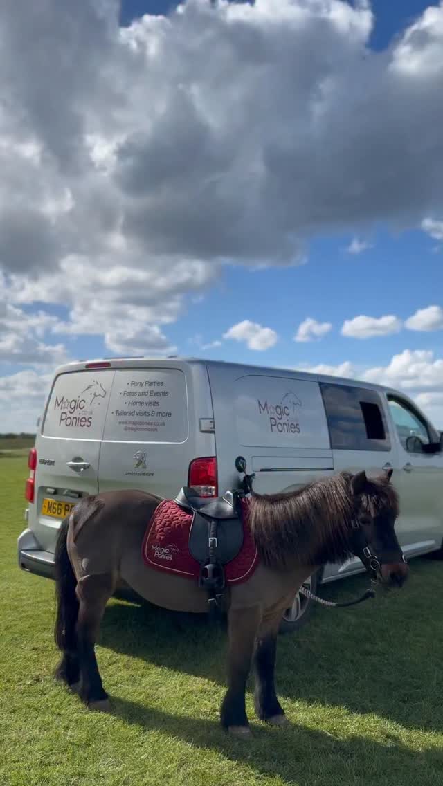 A summer of fun planned at @thebarnkt9 🌞
Fridays- join us for the return of our 1-1 pony experiences! £25 🐴(Book online) cafe, toilets and parking available for Magic Ponies customers.
Tuesdays- Ponies and pizza evening 🍕 with @cluckandcrusts - walking access only - £10 rides no need to book. Every Tuesday apart from next week 16th June! 🌞