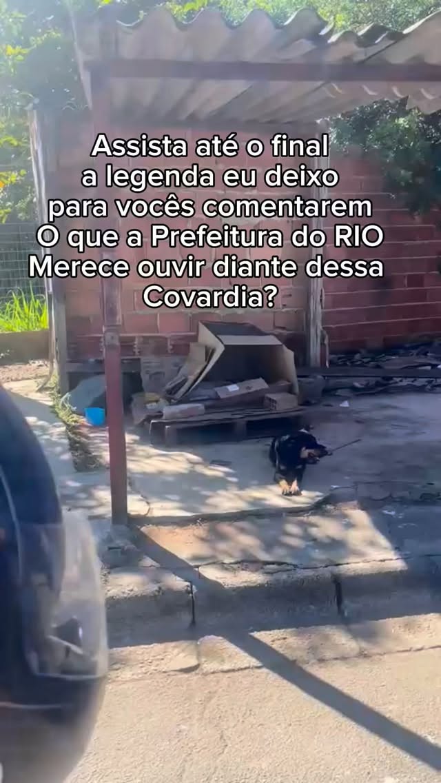 Juntos temos alguns recados para vocês @prefeitura_rio
Nossa cidade está lotada de animais abandonados porque vocês políticos só usam esses Anjos para se elegerem!
Hoje a Odem Pública esteve na Praia da Brisa para demolir um pequeno abrigo que protegia uma cachorra e seus 9 filhotes - onde as auto escolas dão aula. Nesse local muitos animais são abandonados, mortos e muitas Protetoras e pessoas que amam animais fazem o que podem para amenizar o sofrimento desses inocentes indefesos que não sabem se defender e sofrem todo tipo de perigo.
NO FINAL DO VÍDEO A EXPLICAÇÃO FICA AINDA PIOR.
O que vocês tem a dizer amigos ?
Eu só digo uma coisa: NÃO VOTEM EM POLÍTICOS QUE SE DIGAM DA CAUSA! Nenhum deles, EU DISSE NENHUM presta na nossa cidade! Se aparece com cachorrinho já deletem das suas listas de candidatos
A família toda agora está em segurança conosco e tenham certeza que NENHUM POLÍTICO DESSES BONZINHOS VAI SE IMPORTAR EM VIR AQUI TRASER UM POUQUINHO DE RAÇÃO QUE seja! Sabem porque? Porque eles simplesmente não se importam! Eles só querem votos!
