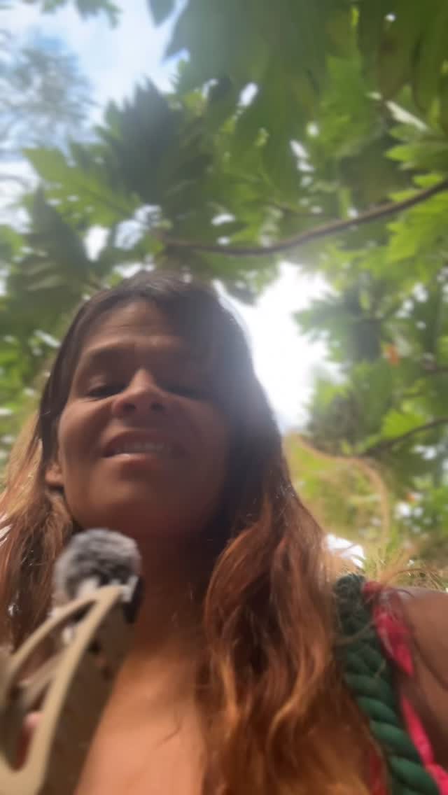 Loʻi #ASMR #fyp