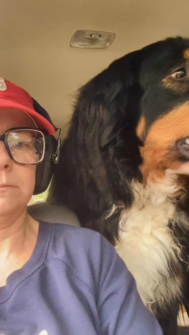 You think you want a Bernese Mountain Dog? 🎧🐾
#bernesemountaindog #maineberners #doglove #doglife #berner