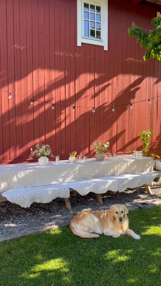 Dagen er her!! 🍃🍃
.
SOMMERMARKED på vakre Ingatun ☀️
.
Vi ønsker hjertelig velkommen til en herlig dag i Tenvikveien 17 🍃
.
Kl 11-15 🍃
.
NB!Parkering hos gode nabo Freberg 🤩 p- plass rett før Ingatun - se kart i story! 🚗🅿️
.
Flotte utstillere som kan friste med veldig mye fint! 🍃
.
Hage-kafé med deilig bakst, kaffe og saft
.
🍃🍃🍃🍃🍃🍃🍃🍃🍃🍃
@ingatun_notteroy @florworks.as @grovesle @gryskeramikk @konglerogkvist @frebergs.no @karikafjeld