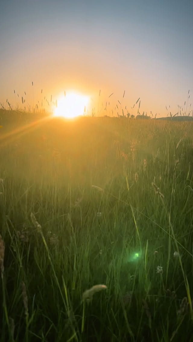 Du bist nicht durch all deine schweren Phasen gegangen, weil du es verdient hast. Du bist durch all das gegangen, weil es hier so heftig und schwer ist und weil etwas in dir stärker ist als jeder Schmerz, jede Enttäuschung und jede Angst. Dir ist das passiert, weil du einfach dieses Licht bist, was auf den Tisch muss um zu strahlen, was aber unterdrückt wurde.
Du hast nie aufgehört zu lieben und zu hoffen?
Etwas in dir hat nie aufgehört, sich an seine wahre Natur zu erinnern?
Dieses Licht bist einfach du.
Ich bin dafür da, dass du dich erinnerst.
🔥 ERWECKE DEIN SCHAMANISCHES HERZ
Vom 3.–5. Juli nehmen wir uns drei Tage Zeit, das schamanische Herz zu verstehen, zu stärken und zu leben.
🌱 Die Medizin ist Liebe. Und Gott ist Liebe.
Kommentiere „HERZ“, wenn du mehr Infos möchtest.
