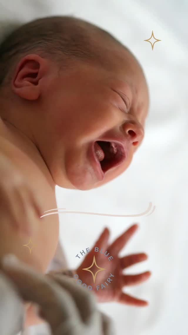 4to Trimestre? Tu me estas diciendo que yo tengo que esperar 3 meses más con este bebé dentro? No hay manera!
Este término se ha vuelto muy popular ahora, solo pensemos,
Muchos mamíferos nacen listos para enfrentar el mundo. Caminan y comen solos a escasos minutos después de nacer. Nosotros en cambio. Nacemos pequeños e indefensos.
Si tuvieramos que esperar 44 semanas para tener nuestros bebés, sus cráneos simplemente no cabrían a través del canal de parto, es por eso que la naturaleza nos trae antes de estar verdaderamente listos.
Nosotros dependemos de nuestro padres para sentirnos protegidos, calentitos, para alimentarnos mientras terminamos nuestra 'gestación' fuera del útero.
Durante el primer mes, bebés encuentran confort en un ambiente similar al que estaban acostumbrados en el útero. Abrazaditos, calentitos, con sonidos y movimientos rítmicos, que los hacen sentir seguros mientras se ajustan al temible nuevo mundo.
#4totrimestre #gestacion #embarazo #madre #bebe cuna sids sueñoseguro msi tetero formula lechematerna lactancia babysleep babycoach