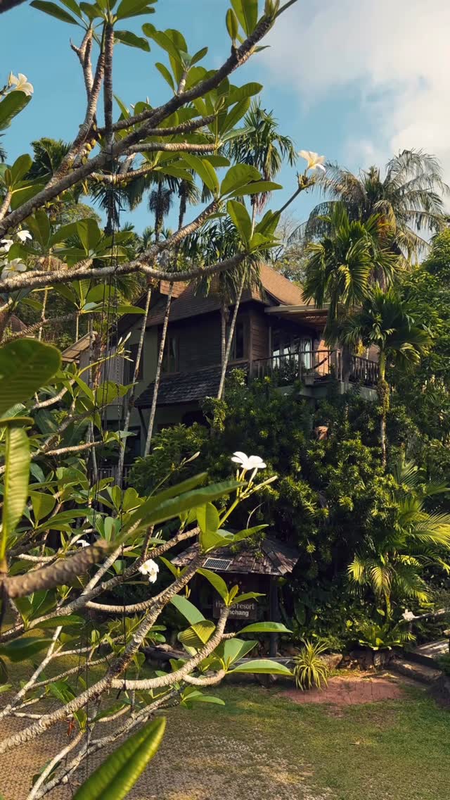 Pure relaxation
sleep well , rest well , eat well 💚🌳
#relaxation #wellness #เกาะช้างเลี้ยวซ้าย #kohchang