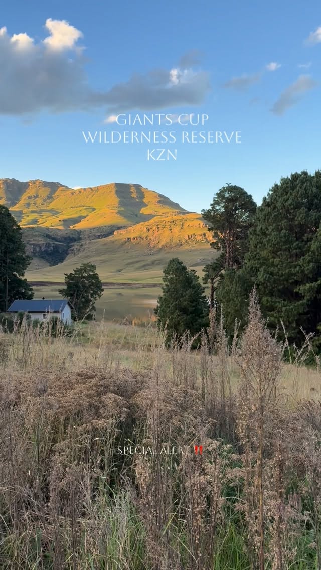 🚨 SPECIAL ALERT! 🚨
Need an escape to the mountains? We’ve got the perfect excuse.
🌿 Stay for 3 nights and only pay for 2! 🌿
Slow down, switch off, and enjoy an extra night in the breathtaking Southern Drakensberg — on us.
✨ Valid midweek only
✨ Valid out of season
✨ Available in selected cottages only
✨ Valid for selected dates only
✨ Valid for direct bookings made through our website
Please check the Specials page on our website for eligible dates and participating cottages.
Wake up to spectacular mountain views, fresh air, complete tranquillity, and the magic of Giants Cup Wilderness.
Book your getaway today at www.giantscup.co.za
#beautifuldestinations #getaway #drakensbergmountains #nature #beautifulplaces