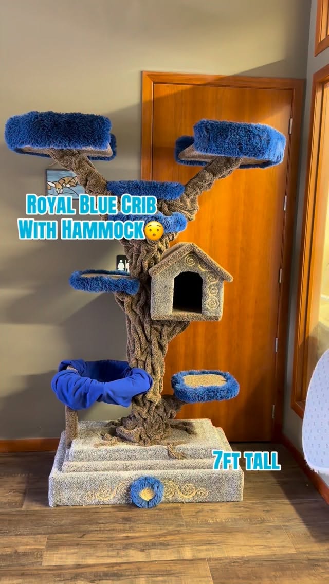 Dm to order🔵🐱
#cats #yyc #calgary #