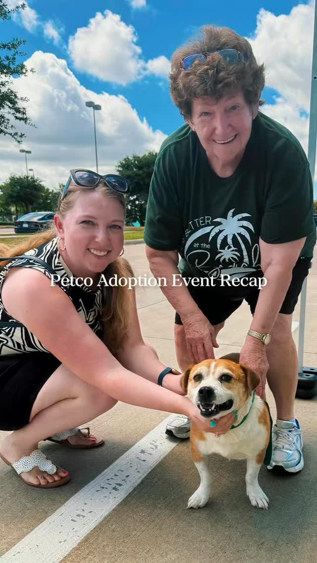 Another great weekend of offsite adoptions at @petco ! 🐾
We loved introducing our amazing adoptable pets to the community. Every conversation, meet-and-greet, and adoption helps bring pets one step closer to loving homes.
Thank you to everyone who stopped by and supported our mission!
Missed us this weekend? Visit our website to view all available pets and learn more about adoption.
#AdoptDontShop #petcolovepartner #RescuePets #HumaneSociety #HSNT @petcolove