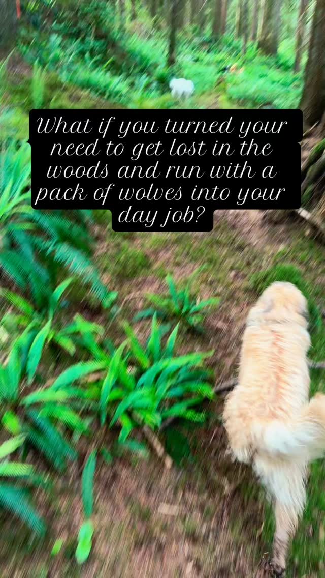 Do what you love and love what you do. #dogs #adventuretime #summer #dogsofinstagram #pnw #dogwalker #dowhatyoulove #smallbusiness #nature #forest #vibes #feral #goblincore