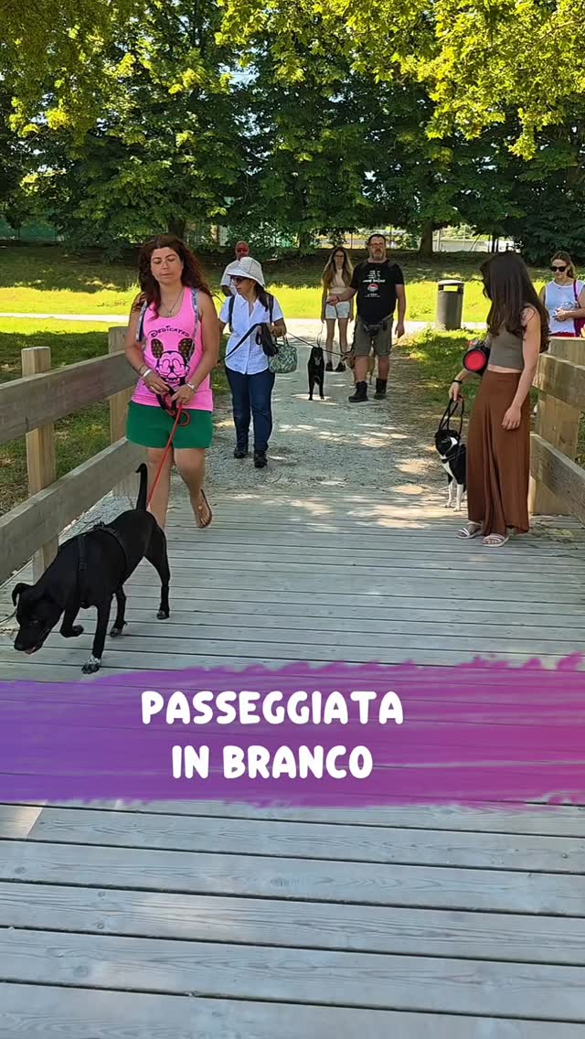 🐾 Chi vuole unirsi al branco?
Più socialità, più benessere, più esperienze condivise.
📅 Tutti i giovedì alle ore 9:00
📅 Tutte le domeniche alle ore 10:00
📲 Scrivimi su WhatsApp per partecipare. https://wa.me/3932434772
#attivitàpercani #canirimini #passeggiatainbranco #benesseredelcane