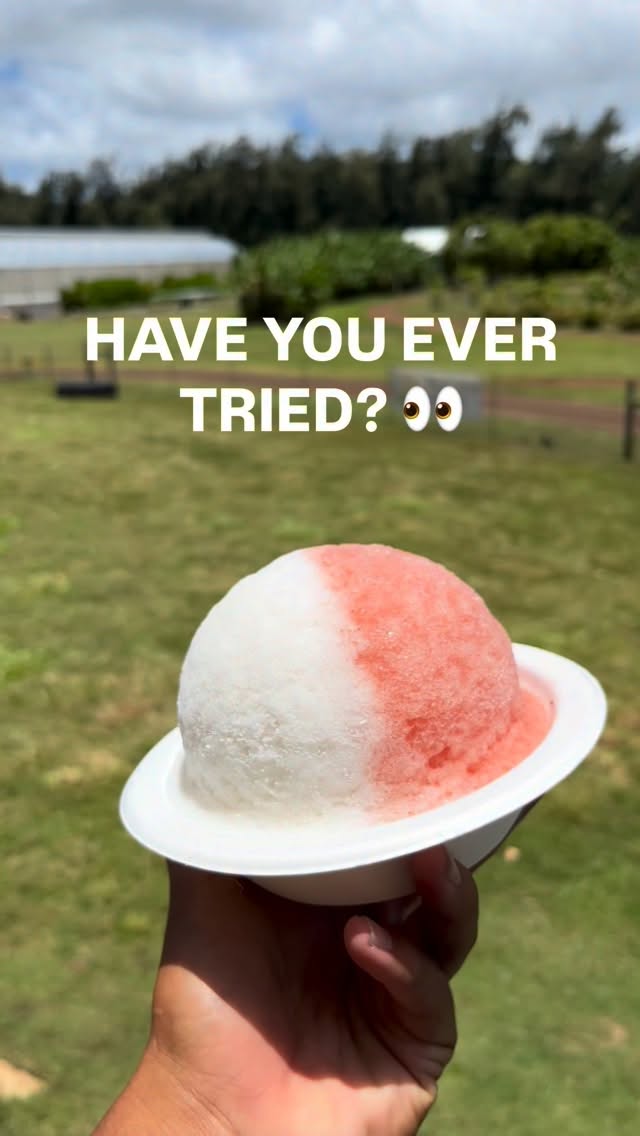 Sleeper topping if you ask me 🥱
Azuki beans 🫘 on shave ice refer to a traditional Japanese 🇯🇵 and Hawaiian dessert topping made of sweetened, soft-cooked red beans. It adds a rich, earthy sweetness and hearty texture to the fluffy ice.
Little bit of history ⬇️
In the Hawaiian plantation era, Japanese immigrants brought the tradition of eating sweet beans and ice to Hawaii in the early 1900s, where it evolved into the iconic Hawaiian treat known as “shave ice” 🍧
Next time you stop by give it a try! 🤙🏾
Open from 11AM-6PM daily!
Location: Kuilima Farm 📍
#oahu #treats #shaveice #organic #dessert