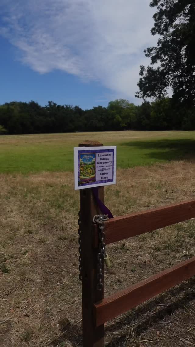 A lovely lavender cacao ceremony by @wildoak_wellnessmankas 🪻
Along the lavender trail this weekend, I stopped by Manka's Meadow for a moment of tranquility 🌿
Wild Oak Wellness hosted a ceremonial lavender cacao meditation on Saturday that I am so grateful to have experienced. This wonderful meditation was a chance to unwind and connect with nature and the inner-self. Cacao is a heartwarming medicine that opens the heart, creating a portal to let in more love and give more love to the world 🤍
If you missed the lavender cacao ceremony, don't worry. Wild Oak Wellness has a number of great classes that you can join year-round 🪻
And whenever you can, take a moment to find peace and allow more love into your life 🌿
.
.
.
.
#suisunvalley #suisunvalleylavenderweekend #suisunvalleyliving