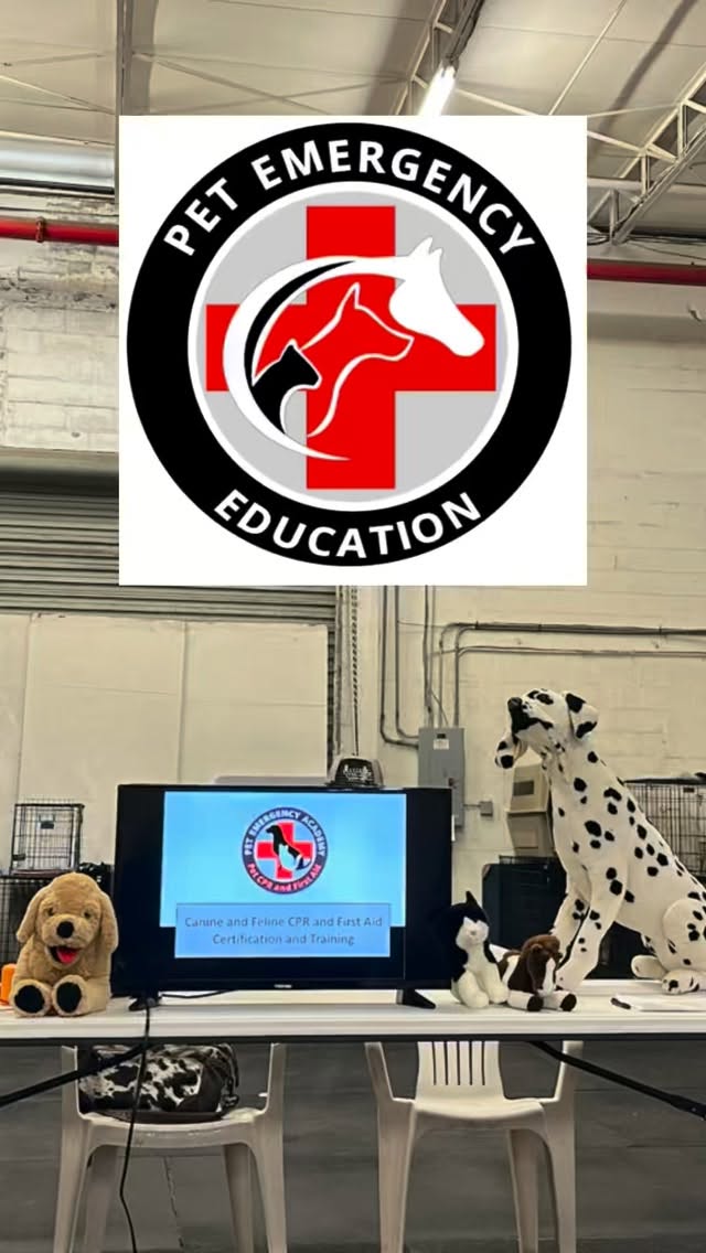 Renewed my Pet CPR and Emergency Training. Lots of good updated information. Hosted by @dogtrainingclubofsaintpete #petsitterlife #petcpr #petfirstaid