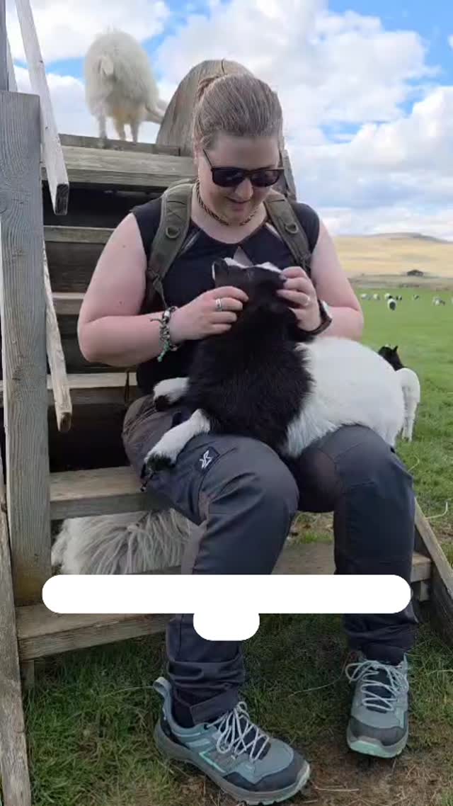 I am very high on endorphins right now 😅
Lamb season is here, with over 100 icelandic goat lambs at a single farm. Heaven on earth I would say ❤️