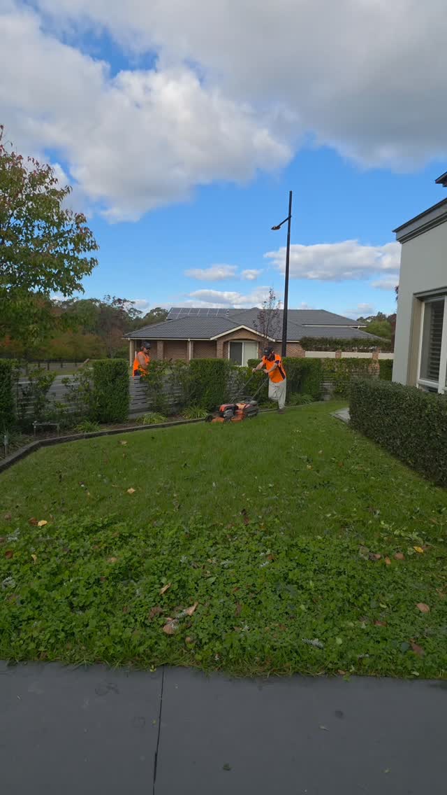 Wait what? That's a Winter Lawn video. Straya 🇦🇺
Good people. Hard work. Great results. Teamwork makes the dream work, baby! 💯🙌
No shortcuts, just teamwork. Teamwork
#team #australia #sydney #camden #lawncare