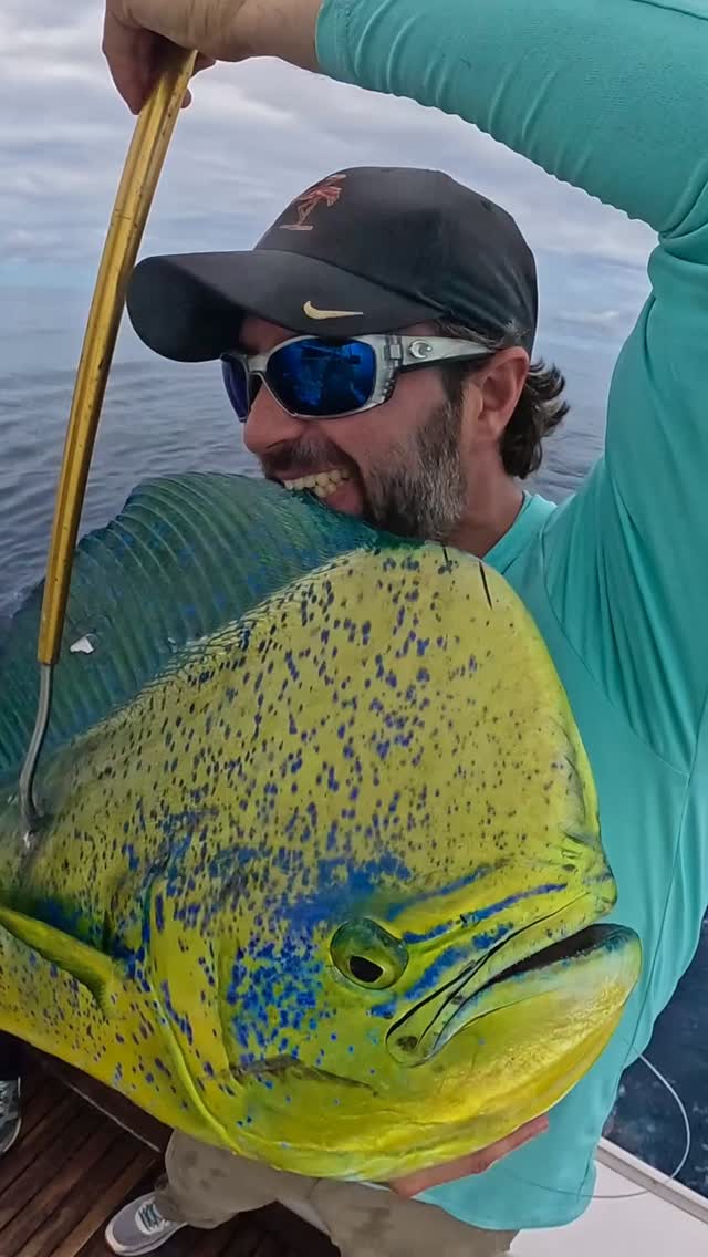 Mahi Mahi for Lunch. Fish w/ INTENSITY!!!