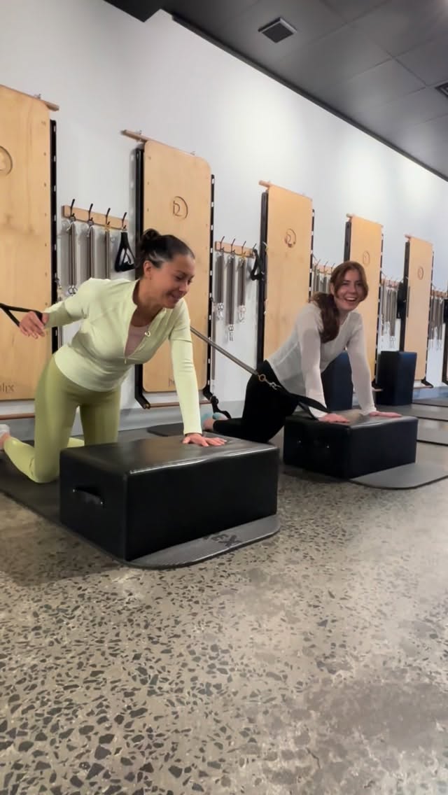 ✨Core and shoulder stability
We train these concepts to help our clients lift, carry and move through everyday life with confidence and less discomfort.