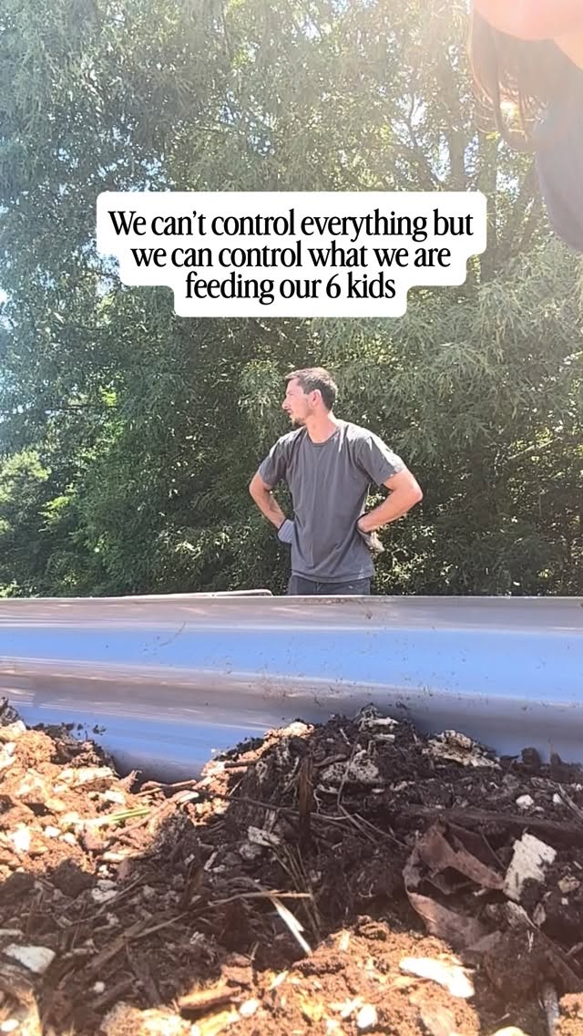Doing our best to feed our family stuff that actually has what their growing bodies need
#farm #country #homestead #growyourown