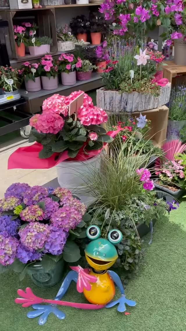 #leclatdesfleurs #fleuriste #fleurs