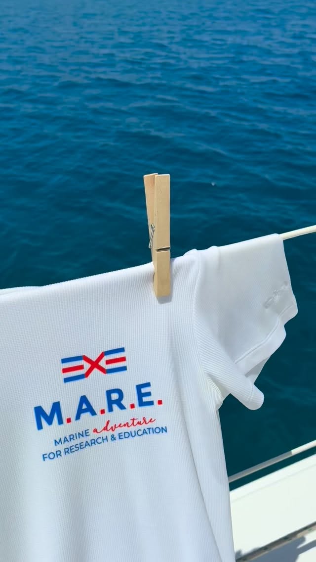 Alcuni momenti a bordo del catamarano Caprera durante questa splendida settimana di navigazione lungo le coste della Sicilia 🤩🌊
~
A few highlights from our last week aboard the Caprera catamaran, sailing along the beautiful Sicilian coastline 🤩🌊
A project by @cvcaprera
Scientific partner @oneoceanfound
#progettoMARE #aboutMARE #CentroVelicoCaprera
#MarineResearch #RespectTheOcean