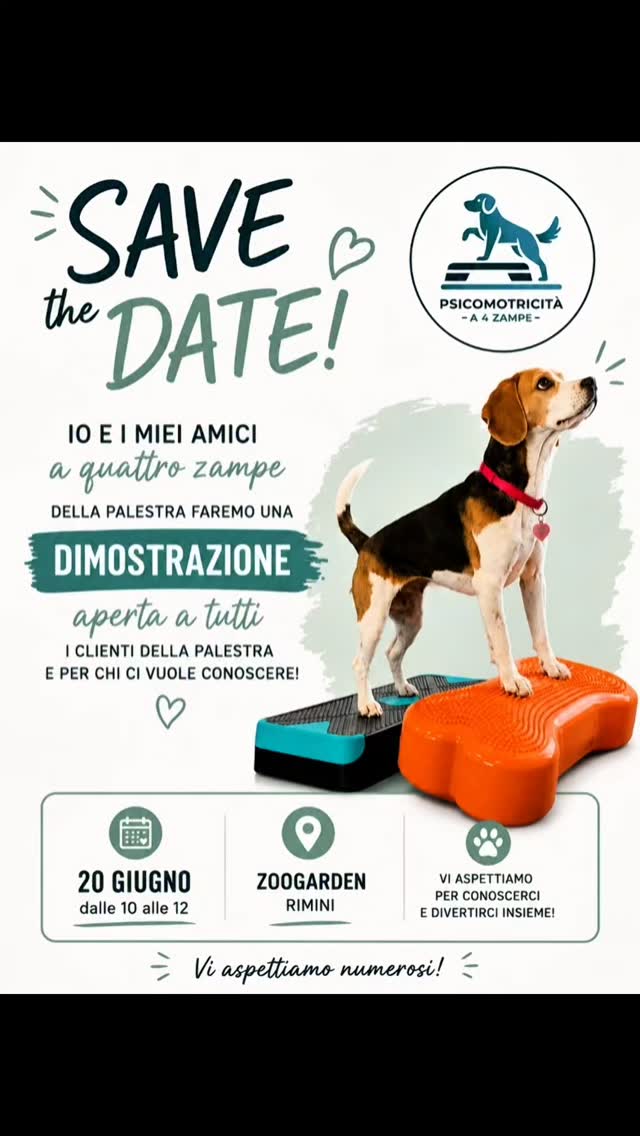 🐾 Dimostrazione di Psicomotricità a 4 Zampe 🐾
📅 Sabato 20 giugno
🕙 Dalle 10:00 alle 12:00
📍 Zoo Garden - Viale Italia 10, Rimini
Vieni a conoscere da vicino la psicomotricità, il metodo innovativo che aiuta i cani a sviluppare sicurezza, competenze e benessere psicofisico.
I cani della palestra ti mostreranno alcune delle attività che svolgiamo e potrai provare anche tu insieme al tuo cane! 🐶
📩 Per informazioni scrivimi su
WhatsApp al 393 24 34772.
#psicomotricitàa4zampe #zoogardenRimini #educazionecinofila #attivitàpercani #canirimini