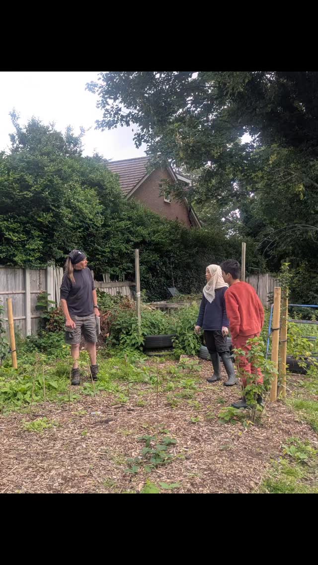Having a lovely morning with @hhcc.hallgreen in the #ForestGarden! The sun has been shining through the threatening clouds, but no rain as of yet, whilst we've been weeding around the garden plot to let out edible perennials and trees breathe again. Plenty of plants to go into the green space too, where this little gem will continue to thrive.
#HallGreen #Billesley #EdiblePerennials #FruitTrees