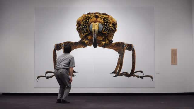 『養老孟司と小檜山賢二の虫展 ~みて、かんじて、そしてかんがえよう』展示会場にて。
ゾウムシと踊る
Dancer #望月寛斗
こたえはぜんぶ、虫にある。
かたちを見る。すべてはそこからはじまった。
ありのままを見ればいいんです。木の枝の葉っぱをよく見てください。
あの葉っぱ一枚が、すべての答えでしょう。
虫だってそう。もう、答えはそこにある。
自然からの答えは、もう目の前にあるのです ―養老孟司
#虫展
#養老孟司
#小檜山賢二