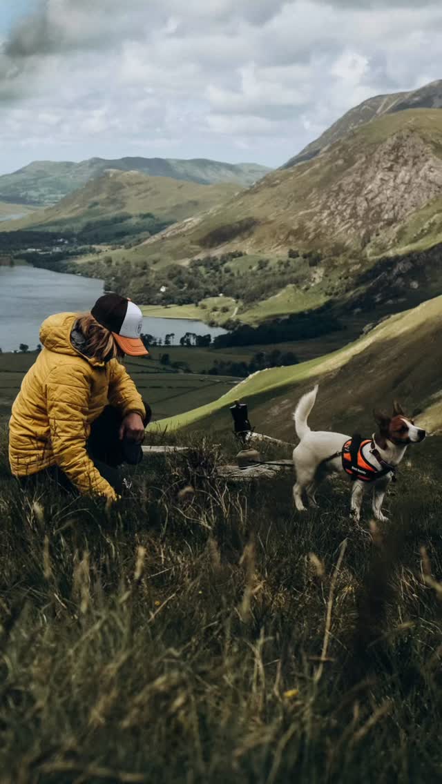 Wainwrights and Wildbrews with Scout.. #wainwrights #buttermere #lakedistrict #adventuredog