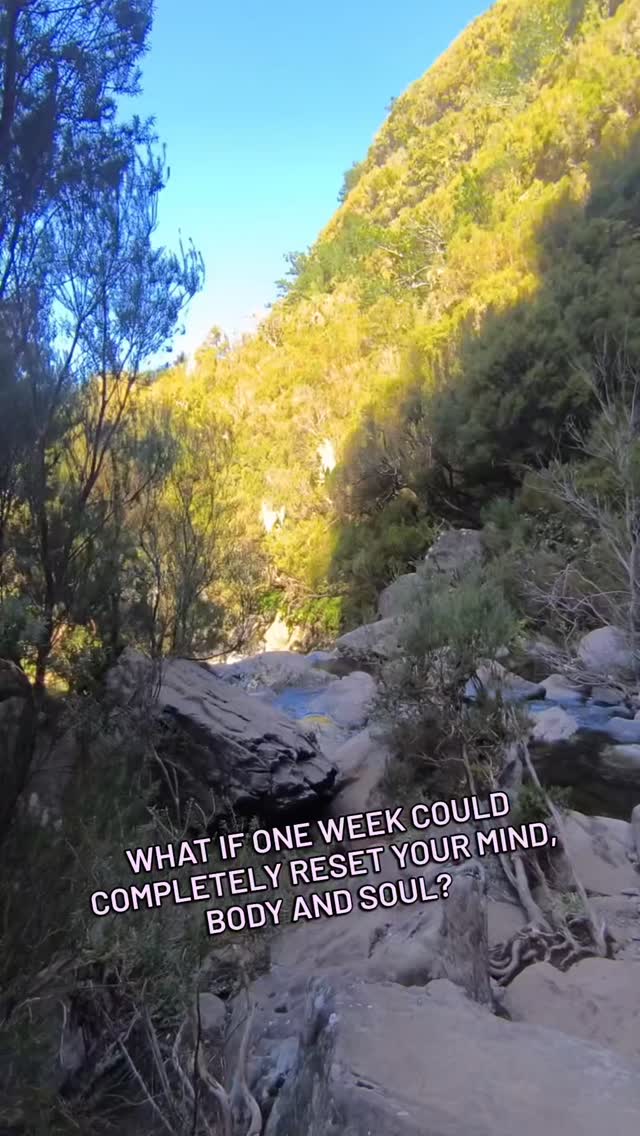 ✨ DREAMING OF AN ADVENTURE THIS SUMMER? ✨
Join us in beautiful Madeira Island from 13th - 20th July @adventureyogi Yoga Retreat, for an unforgettable week of yoga, hiking, ocean views, waterfalls, delicious food, connection, and adventure. 🌿🌊☀️
Whether you're travelling solo, with a friend, new to yoga, or a seasoned yogi, this retreat is open to everyone looking to reconnect, recharge, and explore one of Europe's most breathtaking islands.
💛 Special Offer: £50 OFF Use code:FREDDIEMADEIRA50 (only works for this week).
We still have a few spots left and we'd love to welcome you to our Adventure Yogi family.
Send me a DM for more information or book your spot today!
#MadeiraRetreat #AdventureYogi #YogaRetreat #MadeiraIsland #YogaHoliday