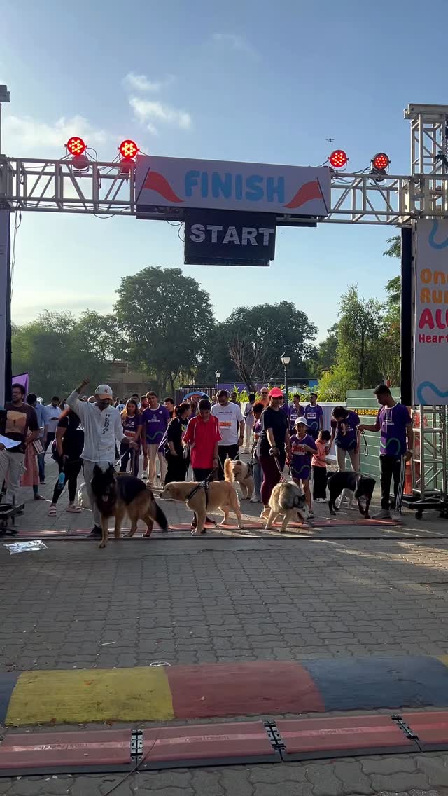 Happy tails. Happy faces. Happy memories. 🐾
From first-time runners to lifelong dog lovers, the Petathon brought together a community that showed up with energy, enthusiasm, and a whole lot of love for their furry companions.
Don’t take our word for it—hear it from the people who made it special. 🎥🐶
