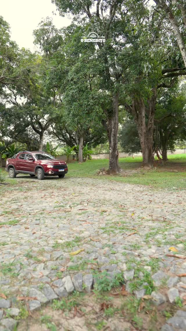 Aqui no Benedito, acreditamos que uma boa experiência começa muito antes do prato chegar até você.
Por isso, cultivamos parte dos ingredientes que utilizamos em nossa cozinha, garantindo mais frescor, qualidade e procedência em cada preparo.
Esse cuidado diário com a nossa horta reflete o que mais valorizamos: oferecer sabores autênticos, ingredientes selecionados e uma experiência feita com muito zelo em cada detalhe.