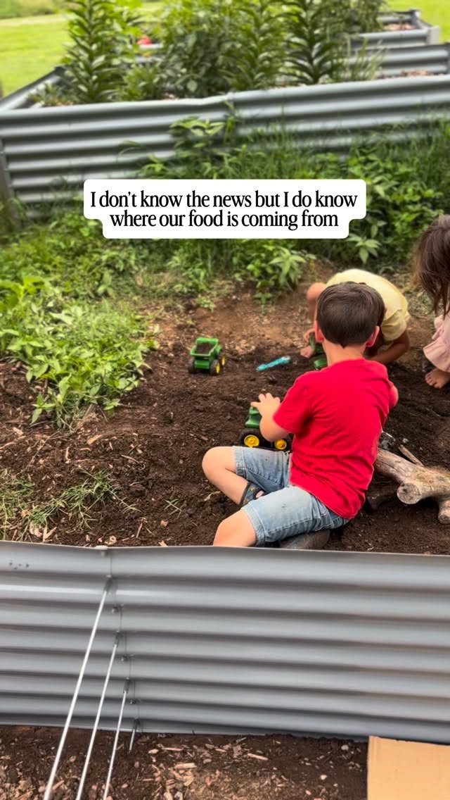 Everything else feels like an awfully big distraction #farm #homestead #farmlife