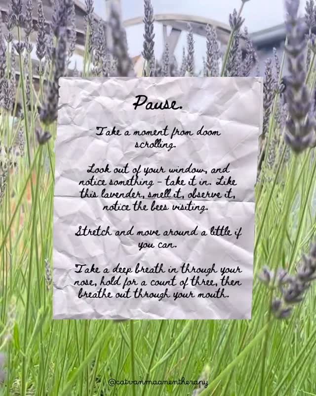 Take a moment away from the soon scroll 🌸 notice where you are, and how you are experiencing this moment.